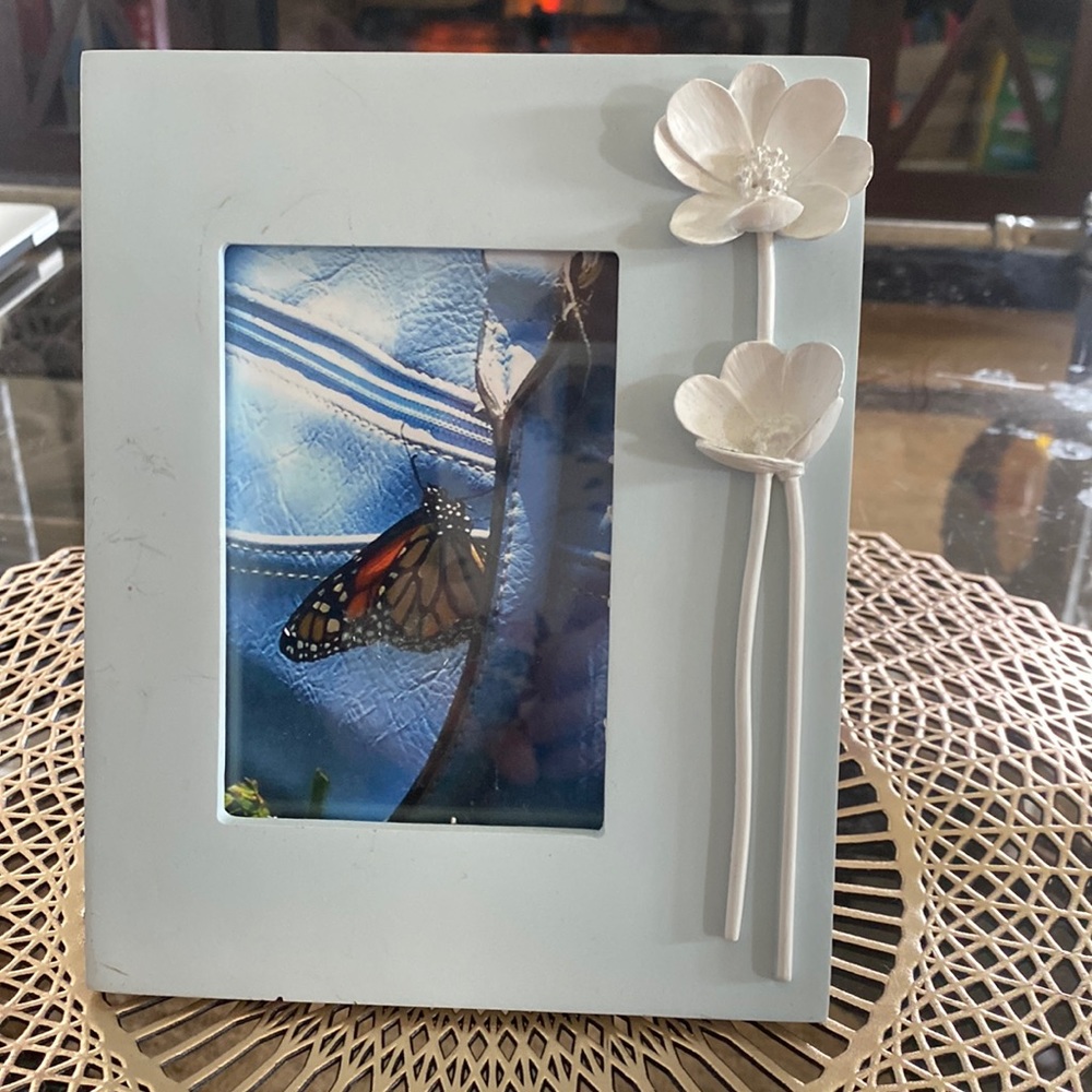 The Little Monarch